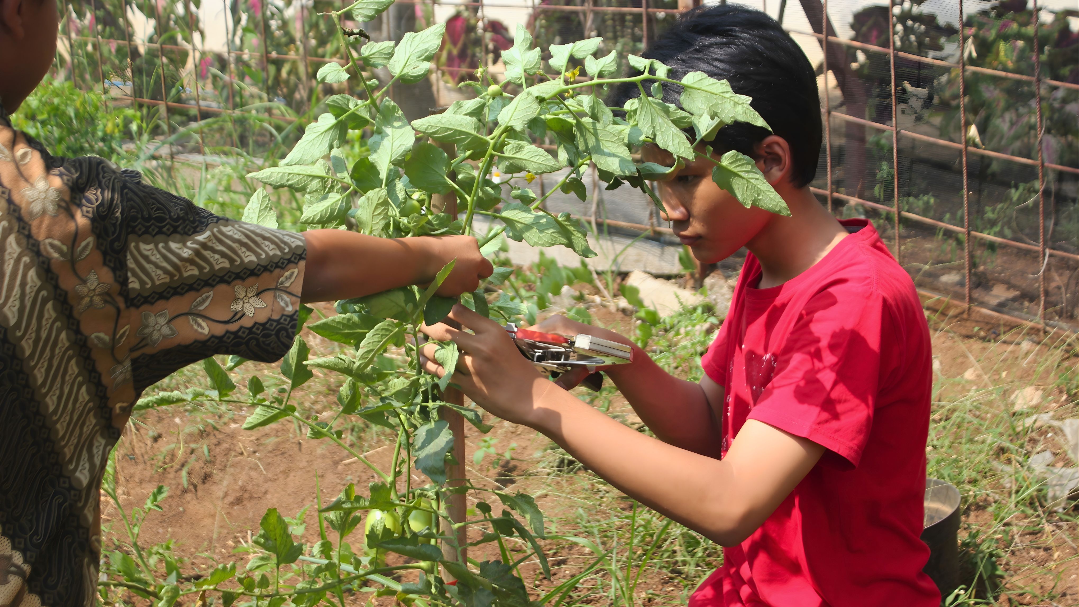 Siswa Belajar 4