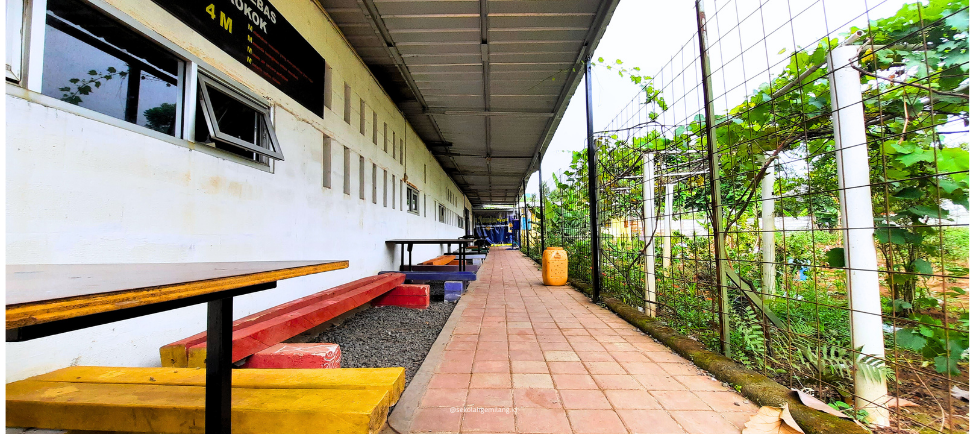 Play Ground